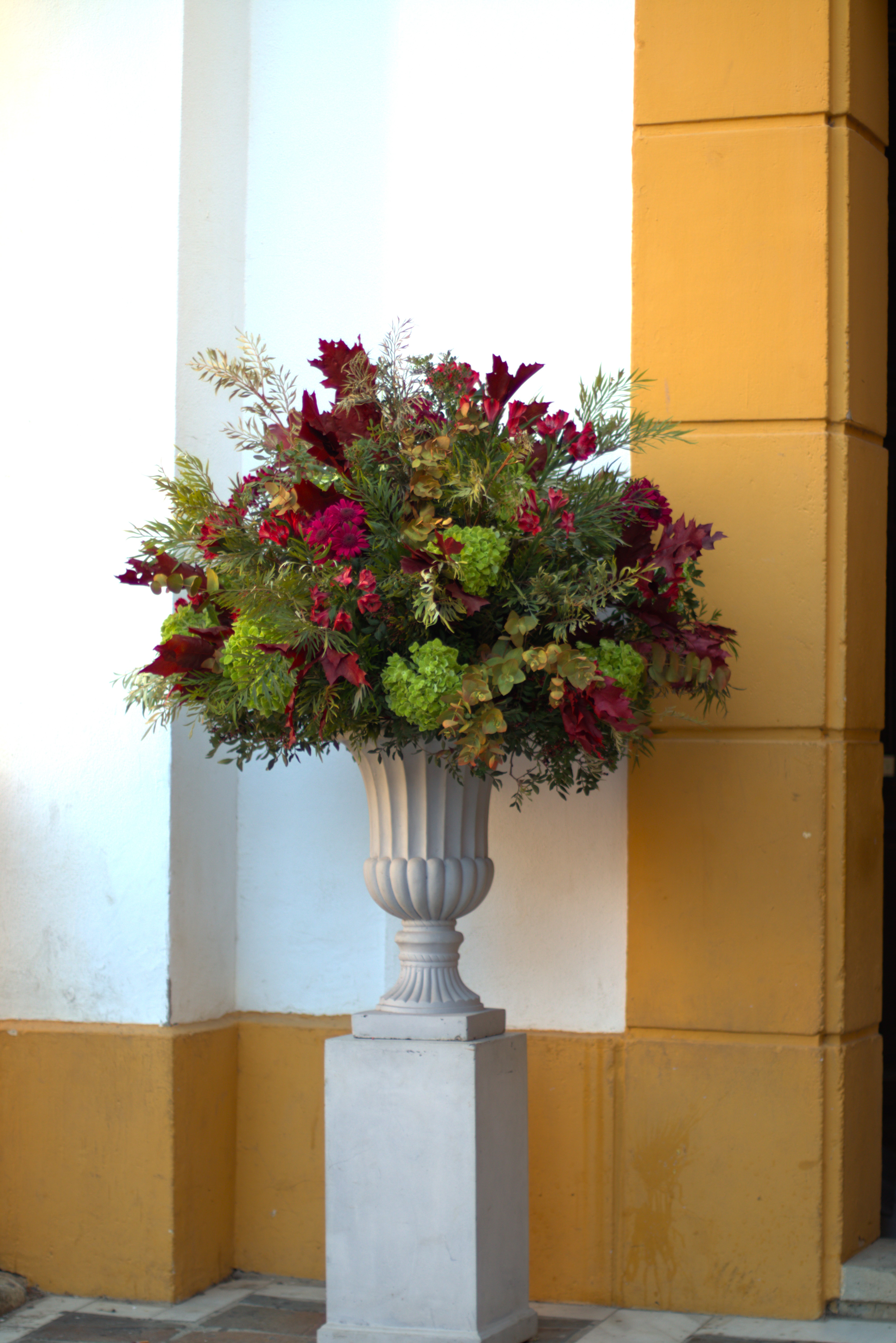 momento de celebración de la boda de Irene